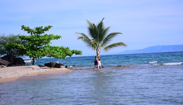 2 DAYS      :     TOUR TO RUSIZI NATURAL RESERVE FOR A BOAT RID UNTIL TO TANGANYIKA LAKE.
