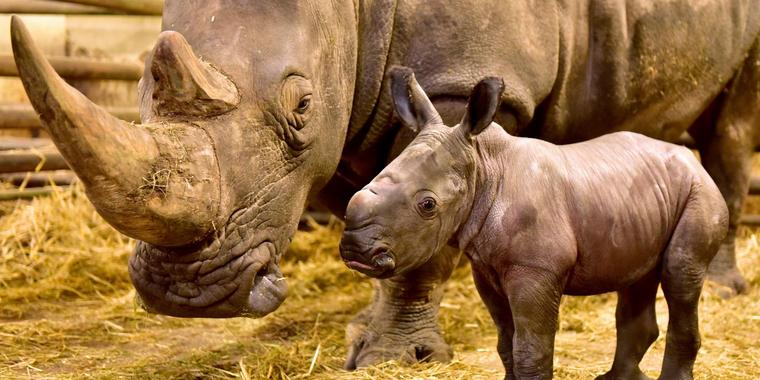3DAYS SERENGETI NATIONAL PARK