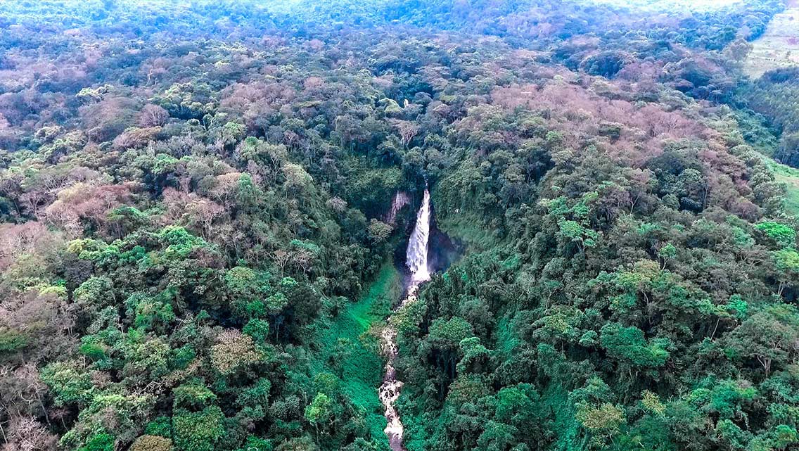 7-DAYS-EASTERN LOWLAND GORILLA TREKKING