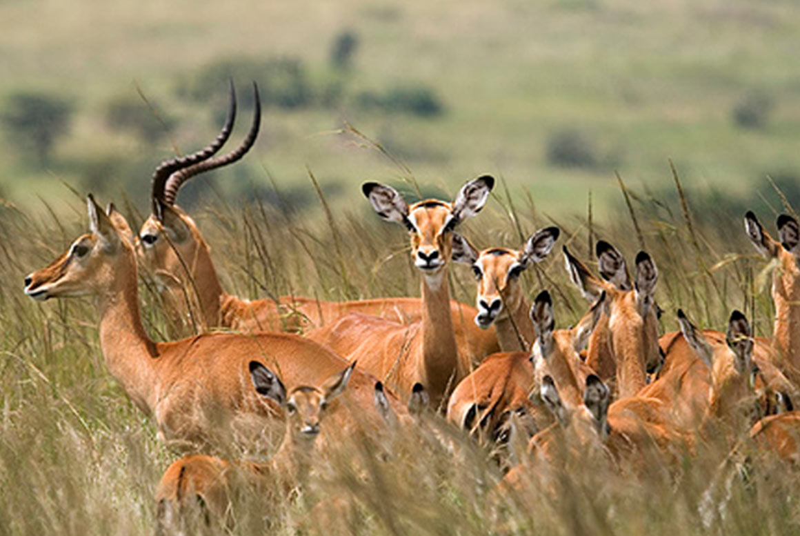 3DAYS- MIKUMI NATIONAL PARK