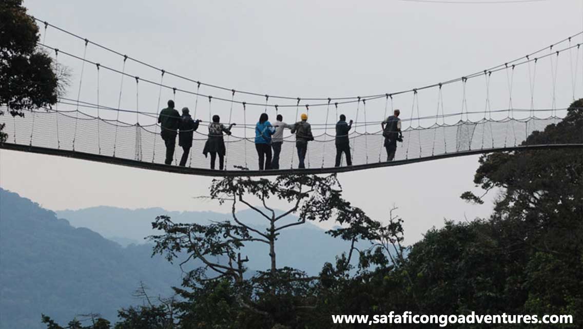 KIGALI-NYUNGWE-KIGALI