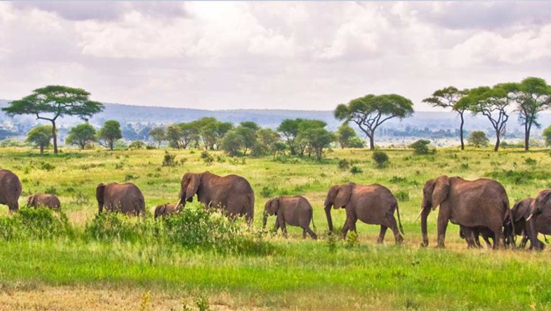 13-DAYS  WILDLIFE AND LUXURY KENYA TOUR