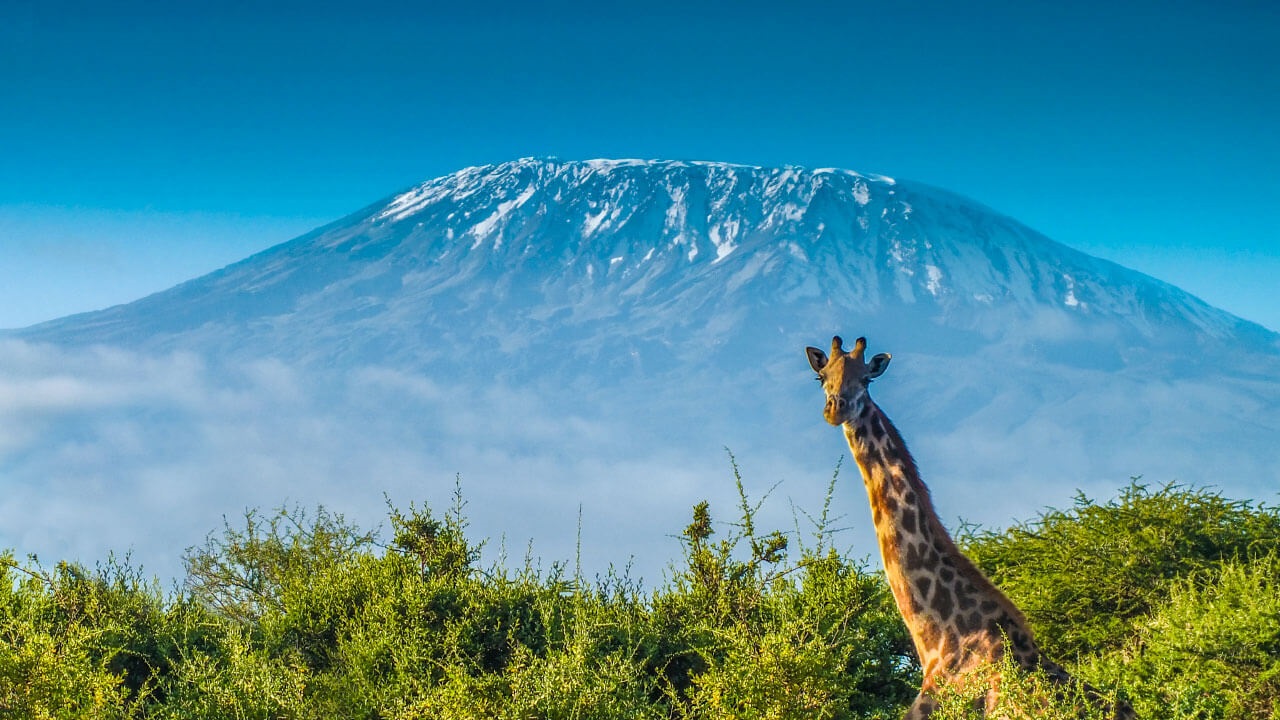 7DAYS/6NIGHTS KILIMANJARO CLIMB MACHAME 