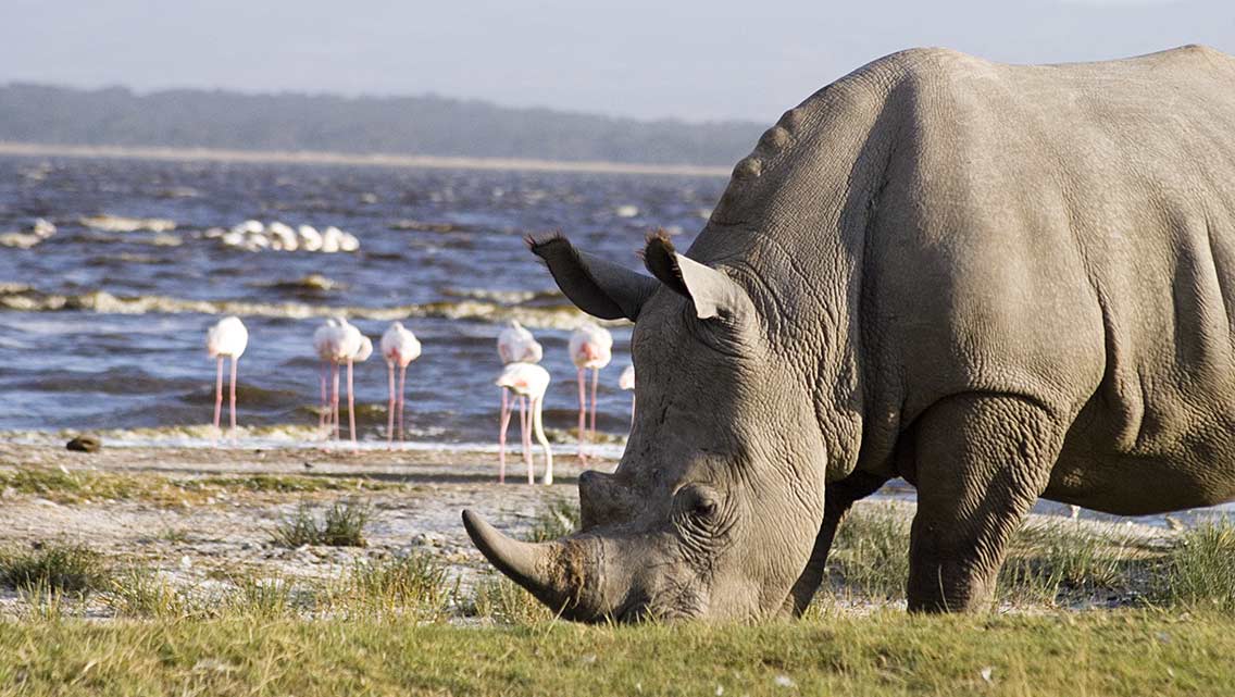  10 DAYS PRIVATE KENYA TOUR