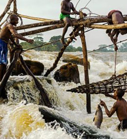 Boyoma Falls, formerly known as Stanley Falls, consists of seven cataracts, each no more than 5 m (16 ft) high